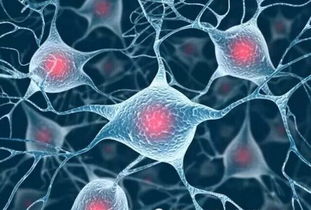 怎么在上海注冊(cè)生物科技公司