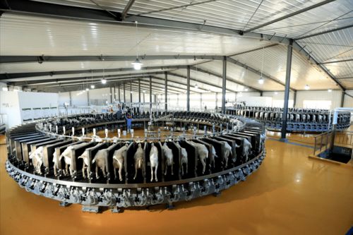 和林格爾縣 黨建引領(lǐng) 多元驅(qū)動(dòng) 打好產(chǎn)業(yè)發(fā)展 組合拳