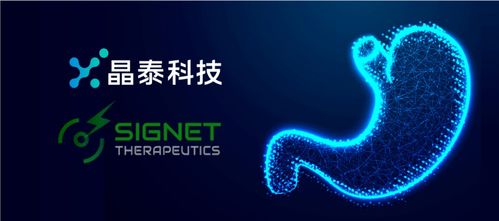 晶泰科技攜手希格生科，推動彌漫性胃癌項目獲重大進展